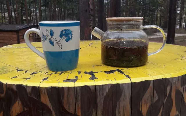 Обработка от муравьёв в загородном отеле